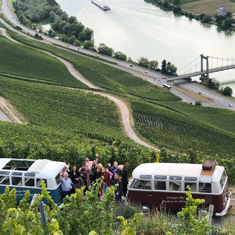 EXCURSIONES VIVA CRUISES #VivaCruises #Excursiones